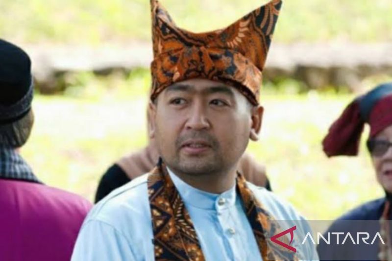 Wakil Gubernur Sumbar Audy Joinaldy. (ANTARA/HO-Biro Adpim Sumbar)