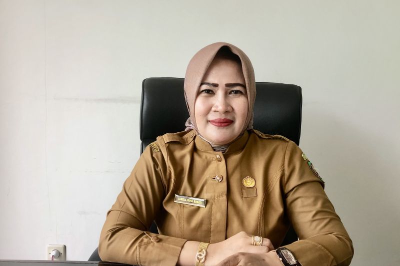Dinkes Maluku Pastikan Nol Kasus Cacar Monyet hingga September 2024