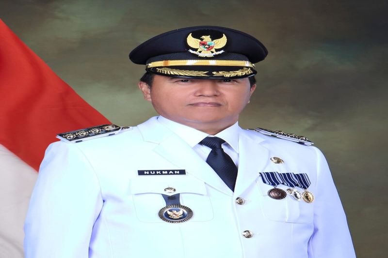 Waspada Serangan Harimau, Pj Bupati Lampung Barat Beri Imbauan