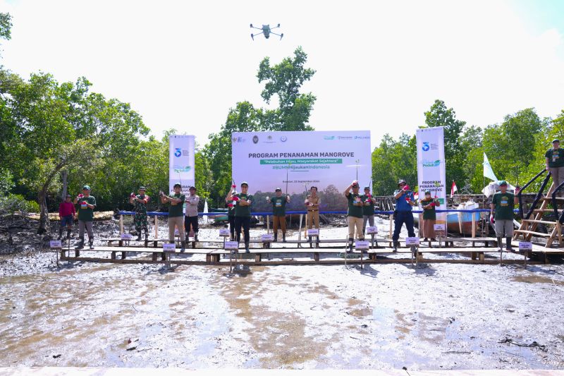 Rehabilitasi 25 Hektare Mangrove di Sulawesi Tenggara oleh Pelindo
