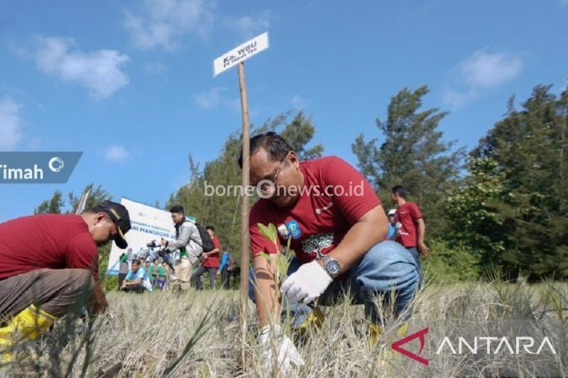 PT Timah Tingkatkan Rehabilitasi Lahan Kritis dengan Penanaman Pohon