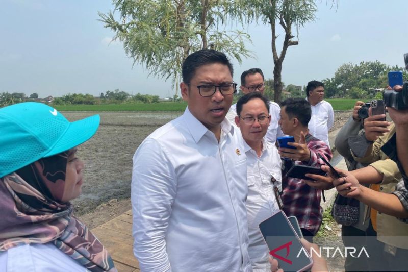 Wakil Menteri Pertanian Sudaryono di Klaten, Jawa Tengah, Senin (23/9/2024). ANTARA/Aris Wasita