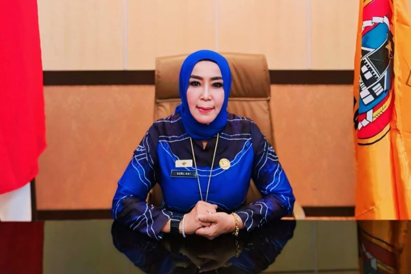 Kepala Dinas Perpustakaan dan Kearsipan Provinsi Kalimantan Selatan (Kadispersip Kalsel) Nurliani Dardie di Banjarbaru, Kalimantan Selatan, Senin (23/9/2024). (ANTARA/HO-Pemprov Kalsel) (ANTARA/HO-Pemprov Kalsel)