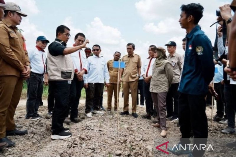 Lahan Bekas Tambang Dikelola Produktif, Tingkatkan Ekonomi Masyarakat