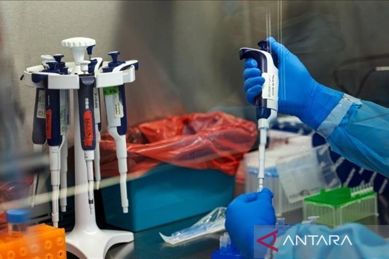 Kasus Pertama Varian Baru Mpox Ditemukan di Malappuram, India