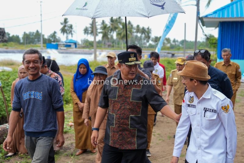 Penjabat Gubernur Sulbar Bahtiar Baharuddin meninjau lokasi budi daya udang vaname pada areal seluas 1.800 hektare di Desa Bonda Kecamatan Papalang Kabupaten Mamuju, Senin (23/9/2024) ANTARA Foto/HO Humas Pemprov Sulbar