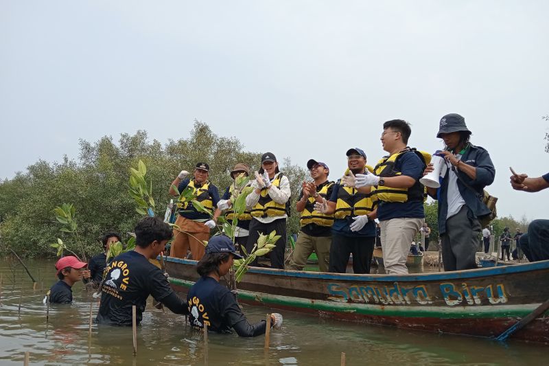 FishLog Tanam 5.000 Mangrove, Dorong Kesadaran Lingkungan Laut