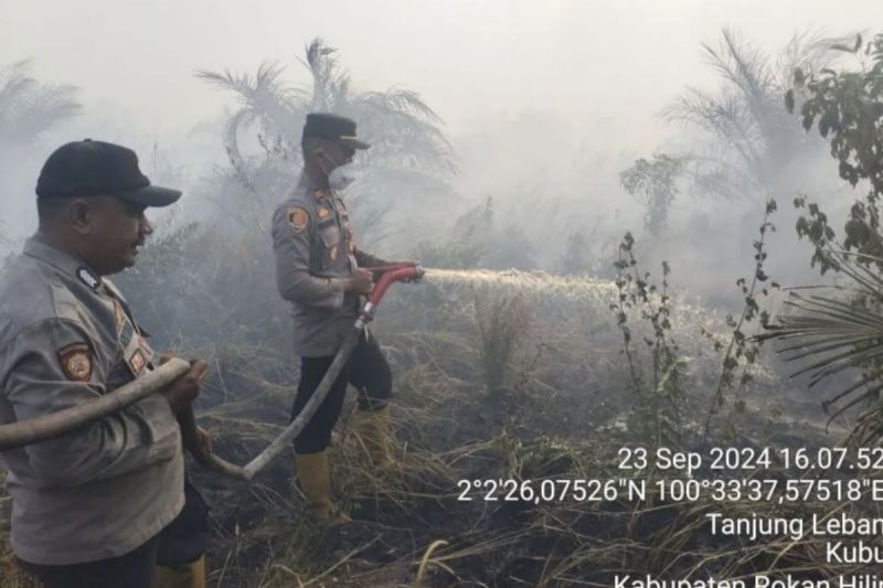 Kebakaran 25 Hektare Lahan Sawit Terjadi di Rokan Hilir Riau
