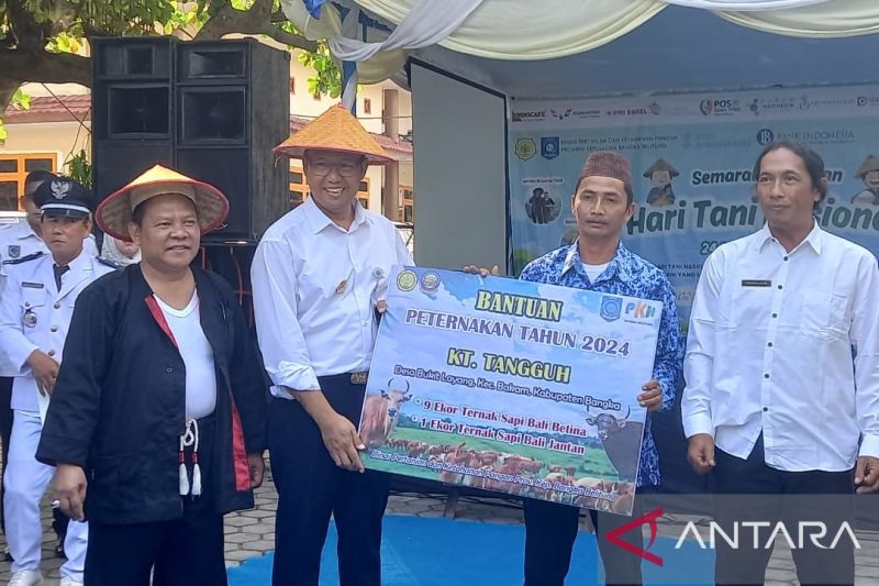 Penjabat Gubernur Kepulauan Bangka Belitung Sugito secara simbolis menyerahkan 60 ekor sapi kepada kelompok tani di Pangkalpinang, Selasa (ANTARA/Aprionis)