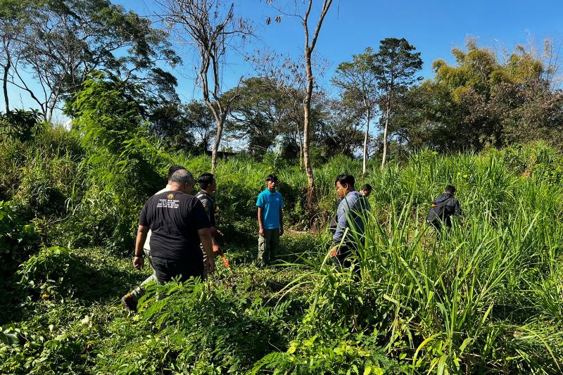 Pegawai Bali Safari Tewas Diseruduk Gajah dalam Insiden Tragis