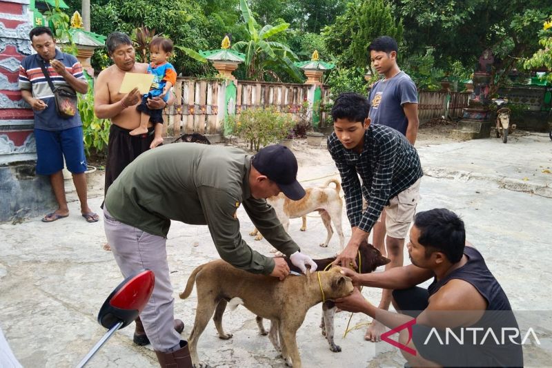 Vaksinasi Ratusan Anjing di OKU Timur Cegah Rabies Menular