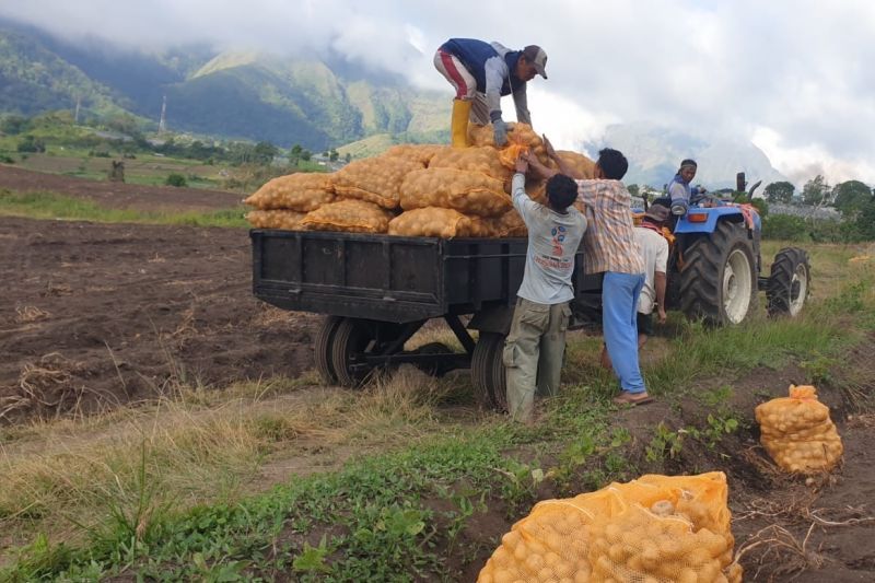 Program Makmur PT Pupuk Indonesia Capai Target Tanam 352.000 Hektar