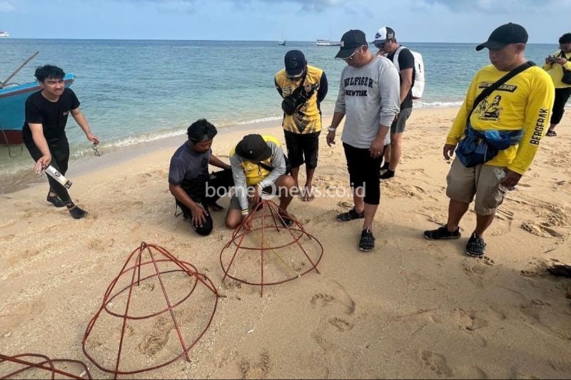 Transplantasi Terumbu Karang di Kotabaru untuk Rehabilitasi Laut