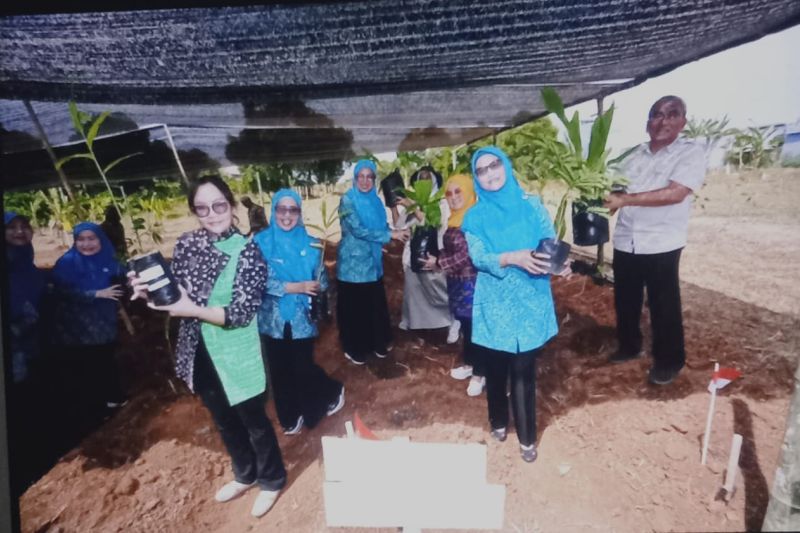 Pengembangan Tanaman Herbal di Sulsel Tingkatkan Kesejahteraan Masyarakat