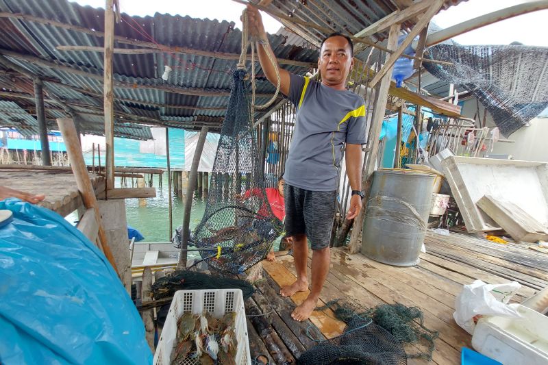 Masyarakat Pulau Kasu Kembangkan Usaha Olahan Kepiting Rajungan