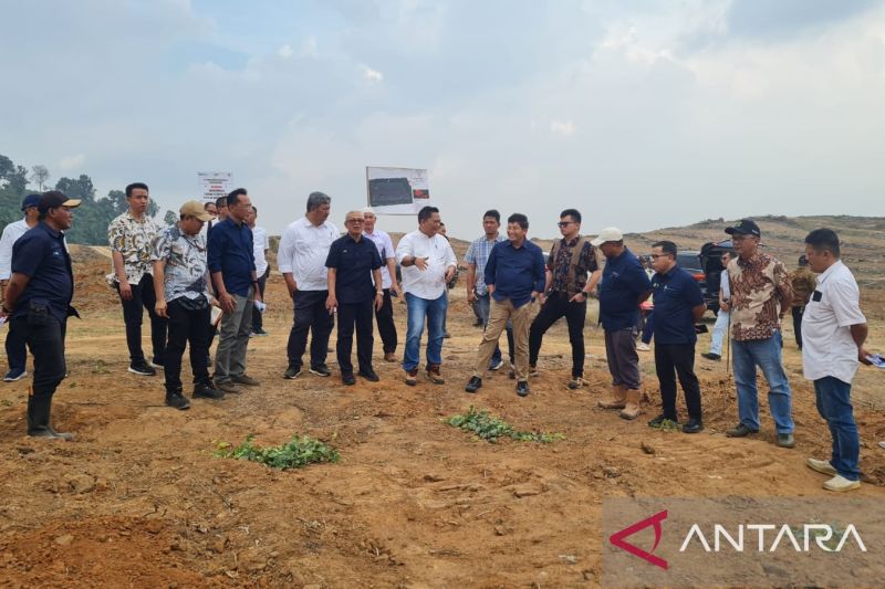 Dewan Komisaris PT Perkebunan Nusantara (PTPN) IV menata ulang tanaman di wilayah regional 7 agar meningkatkan produksi menjadi 26 ton sawit per hektare dari sebelumnya hanya 14 ton /ha. (ANTARA/ HO- PTPN)