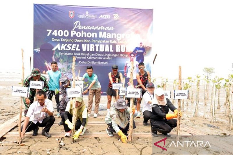 Dinas Lingkungan Hidup dan Bank Kalsel Tanam 7.400 Mangrove