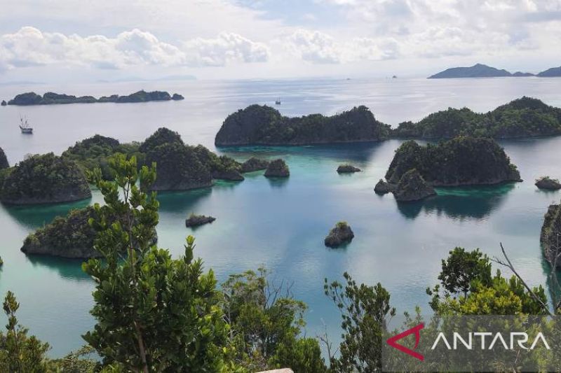 Raja Ampat Ajukan Status Cadangan Biosfer ke UNESCO untuk Konservasi