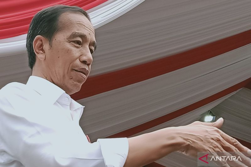 President Joko Widodo. ANTARA/Nyaman Bagus Purwaniawan/nbl.