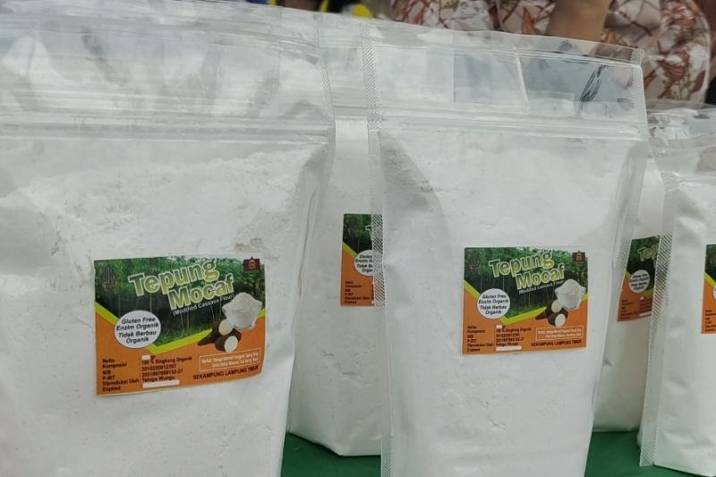 Mocaf Sebagai Solusi Alternatif Pengganti Tepung Terigu di Indonesia