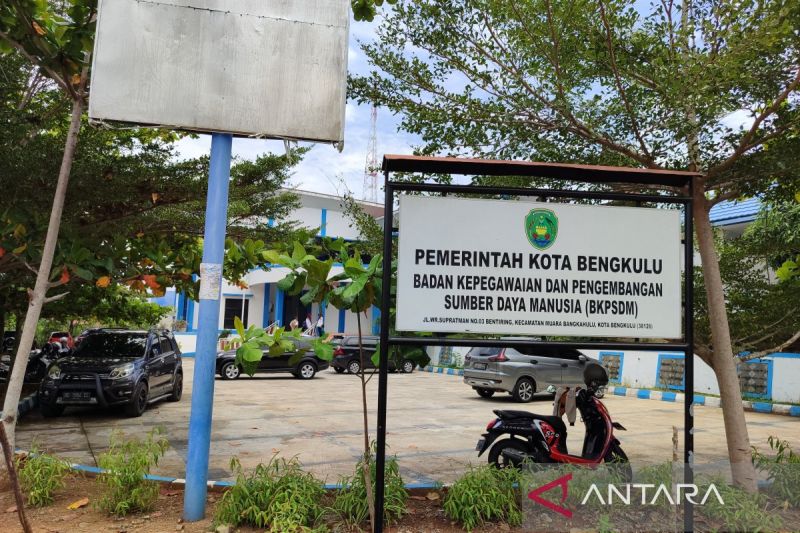 Puluhan Formasi CPNS di Bengkulu Sepi Peminat, Apa Sebabnya?