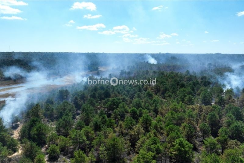 Kebakaran Hutan di Quito, Ekuador, Dinyatakan Darurat Besar