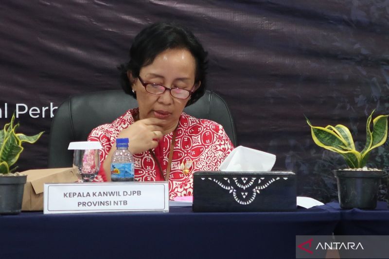 Peran APBN dalam Penurunan Angka Stunting di Nusa Tenggara Barat