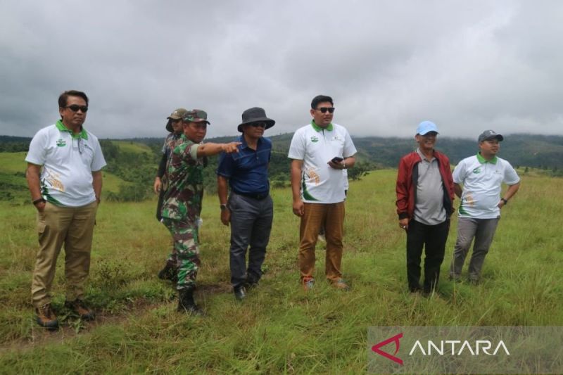 Deputi Pemanfaatan dan Kerja Sama Usaha Badan Bank Tanah Hakiki Sudrajat meninjau HPL Badan Bank Tanah di Poso, Sulawesi Tengah. ANTARA/HO-Badan Bank Tanah
