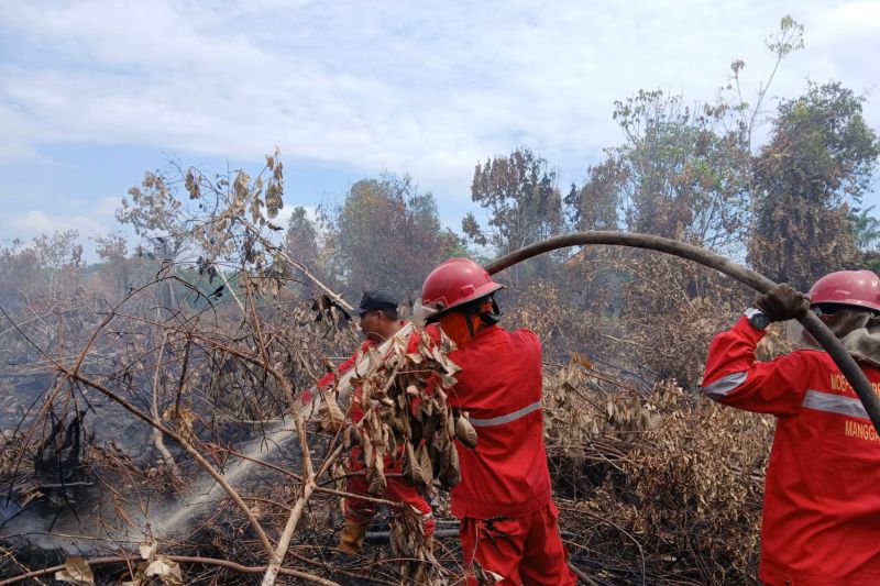 Kebakaran Hutan di Sungai Rotan, Pemadaman Masih Berlanjut
