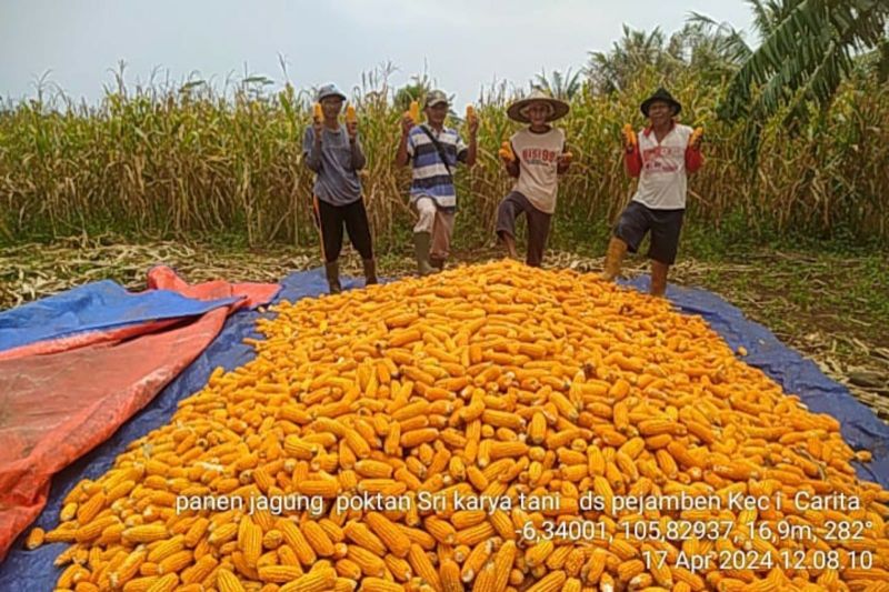 Gempita Kalteng Jalin Kemitraan Strategis untuk Penjualan Jagung