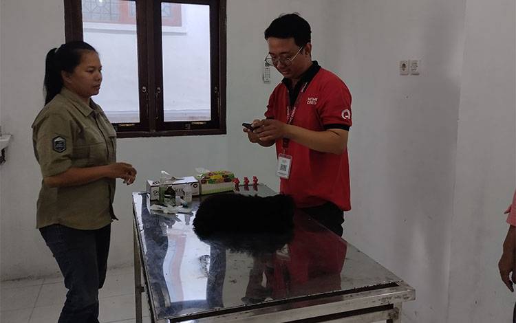 Besok Peringatan Hari Rabies Sedunia di Palangka Raya akan Digelar