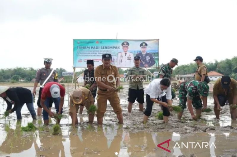 Kolaborasi Pemkab dan TNI di Bangkalan, Dorong Perluasan Areal Tanam Padi