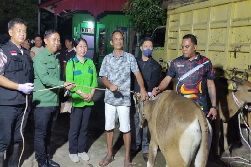 Dinas Pertanian Gumas menyalurkan ternak kepada salah satu poktan ternak di Kecamatan Kahayan Hulu Utara. (ANTARA/HO-Distan Gumas)