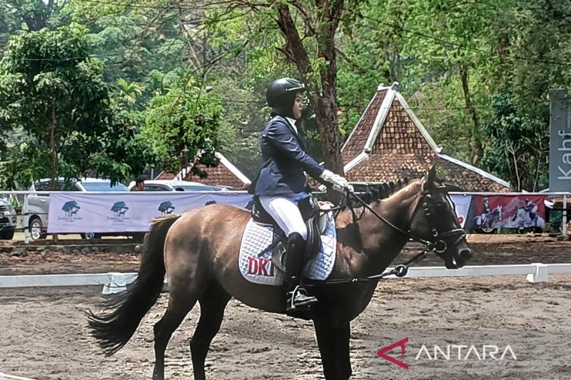 UGM Horse Show, Ajang Menjaring Atlet Pemula Berkuda di Magelang
