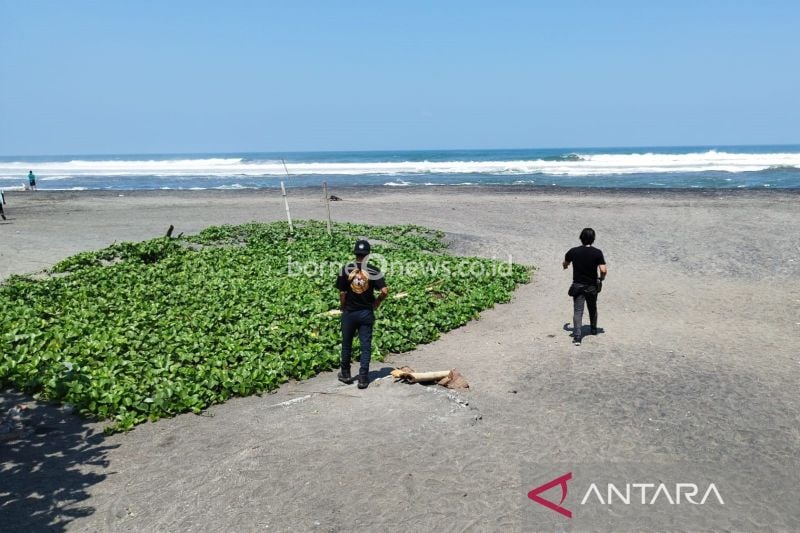 Pemkab Cianjur Gencarkan Promosi Wisata Pantai Selatan untuk Tarik Wisatawan