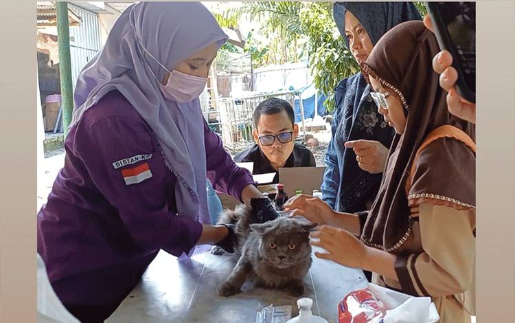 DPKP Kotim Siapkan 300 Vaksin Gratis sat Peringati Hari Rabies Sedunia