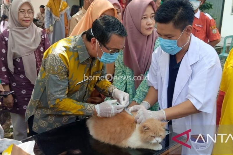 Vaksinasi Gratis Hewan Peliharaan Rayakan Hari Rabies Sedunia