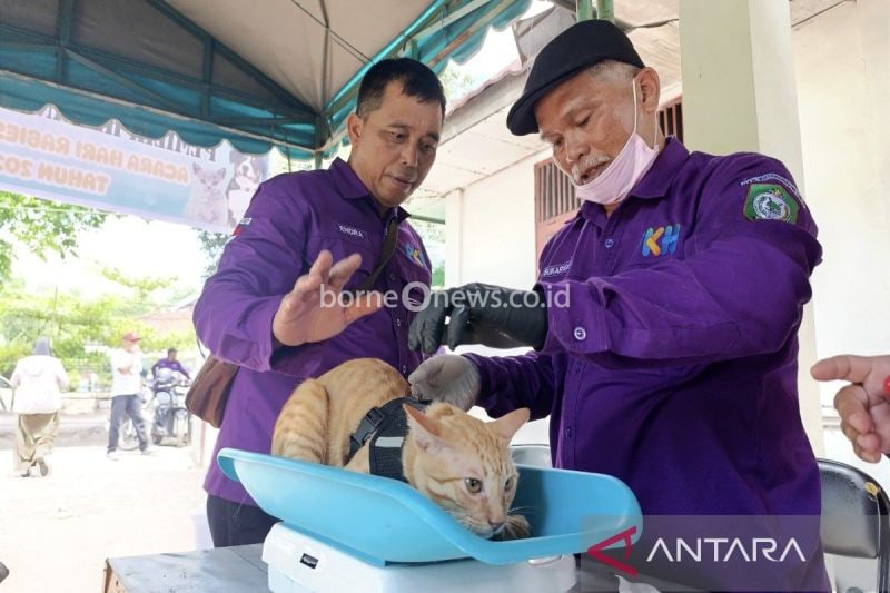 Vaksinasi Rabies Gratis di Kotim Sambut Hari Rabies Sedunia