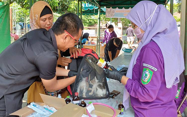 Pemilik Hewan di Sampit Terbantu Vaksinasi Rabies dan Pengobatan Gratis dari DPKP Kotim