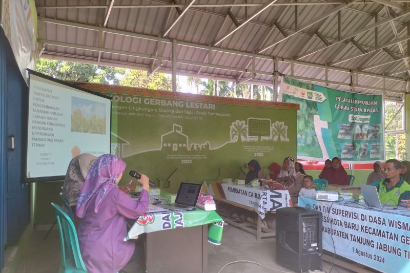 Universitas Jambi Perkenalkan Teknologi Sorgum untuk Pakan Ternak