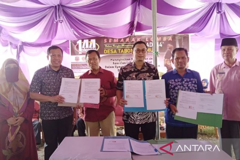 Desa Tabongo Timur, Pusat Pengembangan Tanaman Sacha Inchi