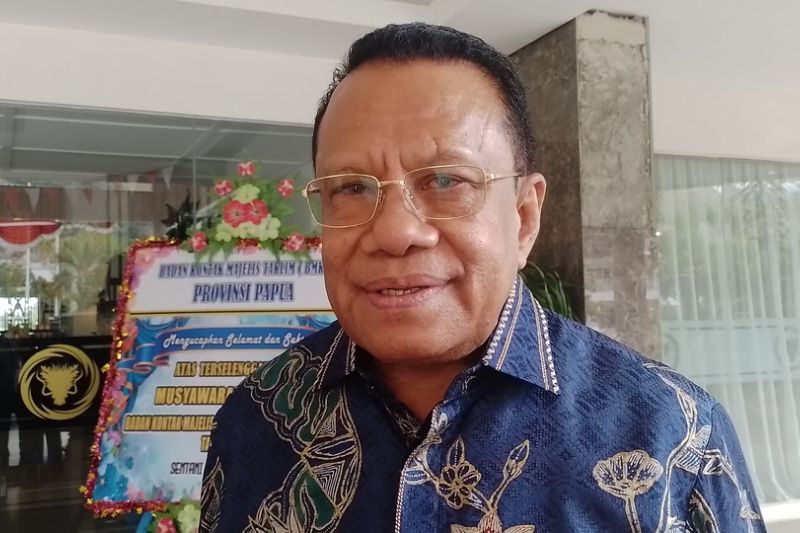Anggota Komisi IV DPR RI Sulaeman L Hamzah saat diwawancarai sejumlah wartawan di Jayapura. (ANTARA/Yudhi Efendi)
