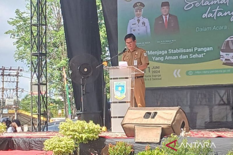 Peningkatan Luasan Lahan Padi di Kota Jambi Raih Optimisme Pangan