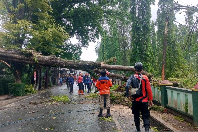 Pohon Tumbang Timpa Pagar Mako Yonarmed 13 di Sukabumi