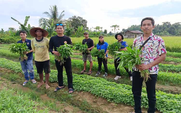 Pemuda Desa Sumber Garunggung Pilih Bertani Selepas Kuliah, Raih Keuntungan 7-15 Juta Per Bulan