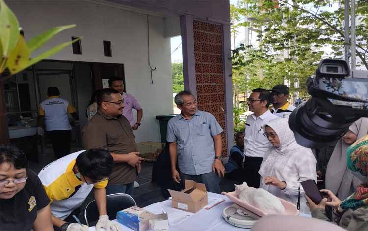 Pengendalian Populasi Anjing dan Kucing Terlantar Melalui Sterilisasi untuk Penanggulangan Rabies di Palangka Raya