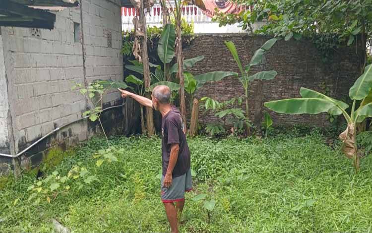 Beruang Lepas Serang Ternak Warga di Sampit