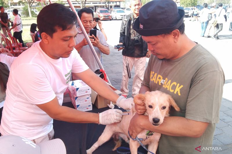 Vaksinasi Anjing dan Kucing, Upaya Bali Bebas Rabies 2030