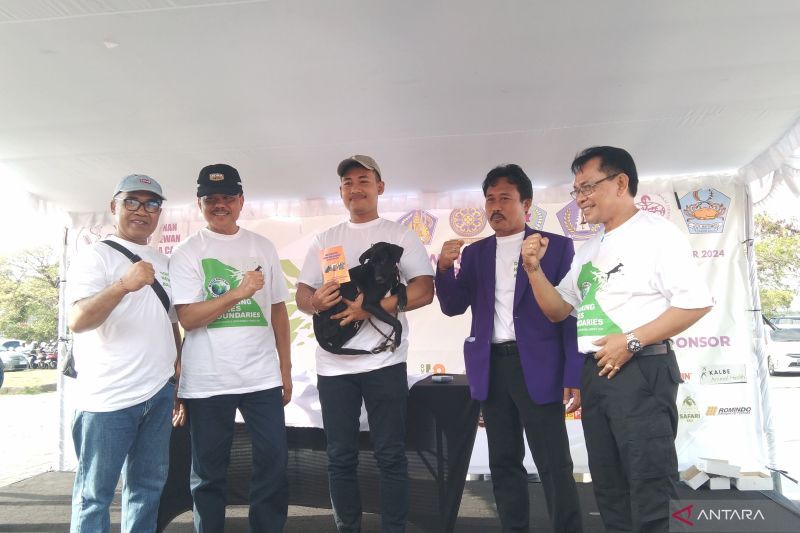Pergeseran Gejala Rabies pada Anjing di Bali, Perlu Waspada