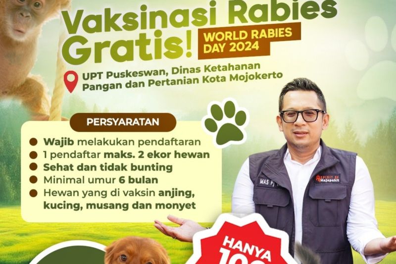 Vaksinasi Rabies Gratis di Mojokerto, Cegah Penyakit Zoonosis